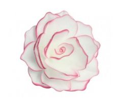 Jedlá oblátková čínska ruža 12,5cm ružový okraj
